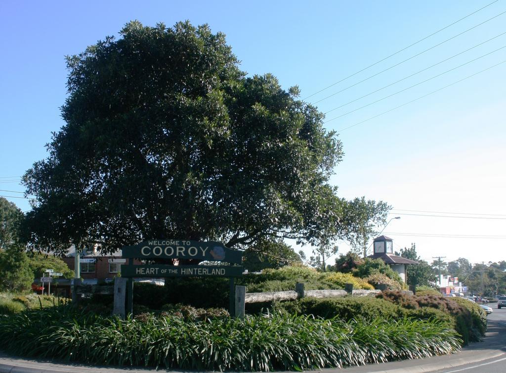 Cooroy Luxury Motel Apartments Exterior photo